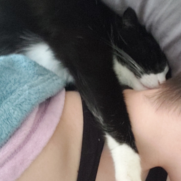 Meet your Posher, Anna-marie - Picture 2 of 2